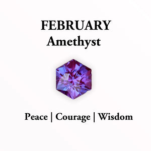 February Amethyst Birthstone Necklace